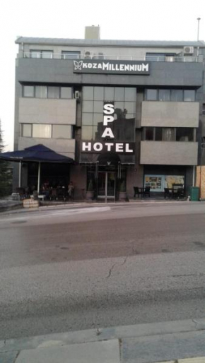 koza millenyum hotel&spa, Ankara